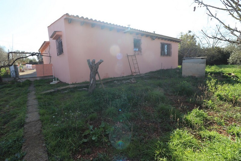 Habitació de lloguer, Algaida