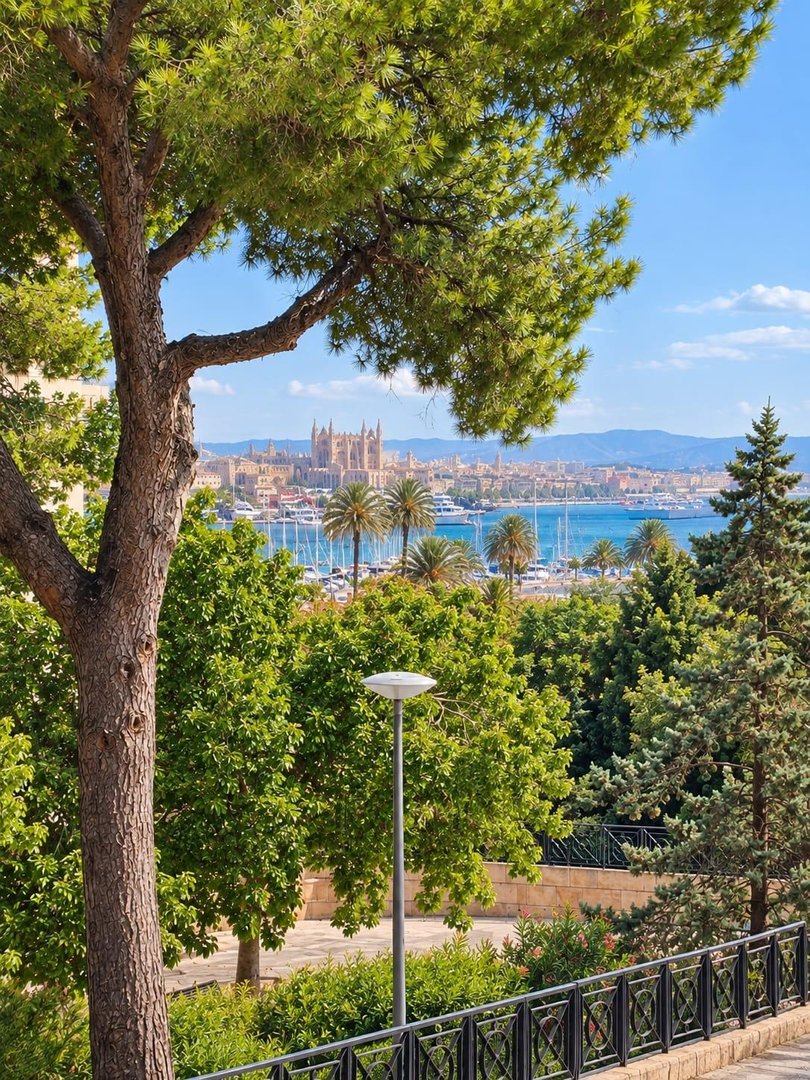 Appartamento 145 m² a Palma