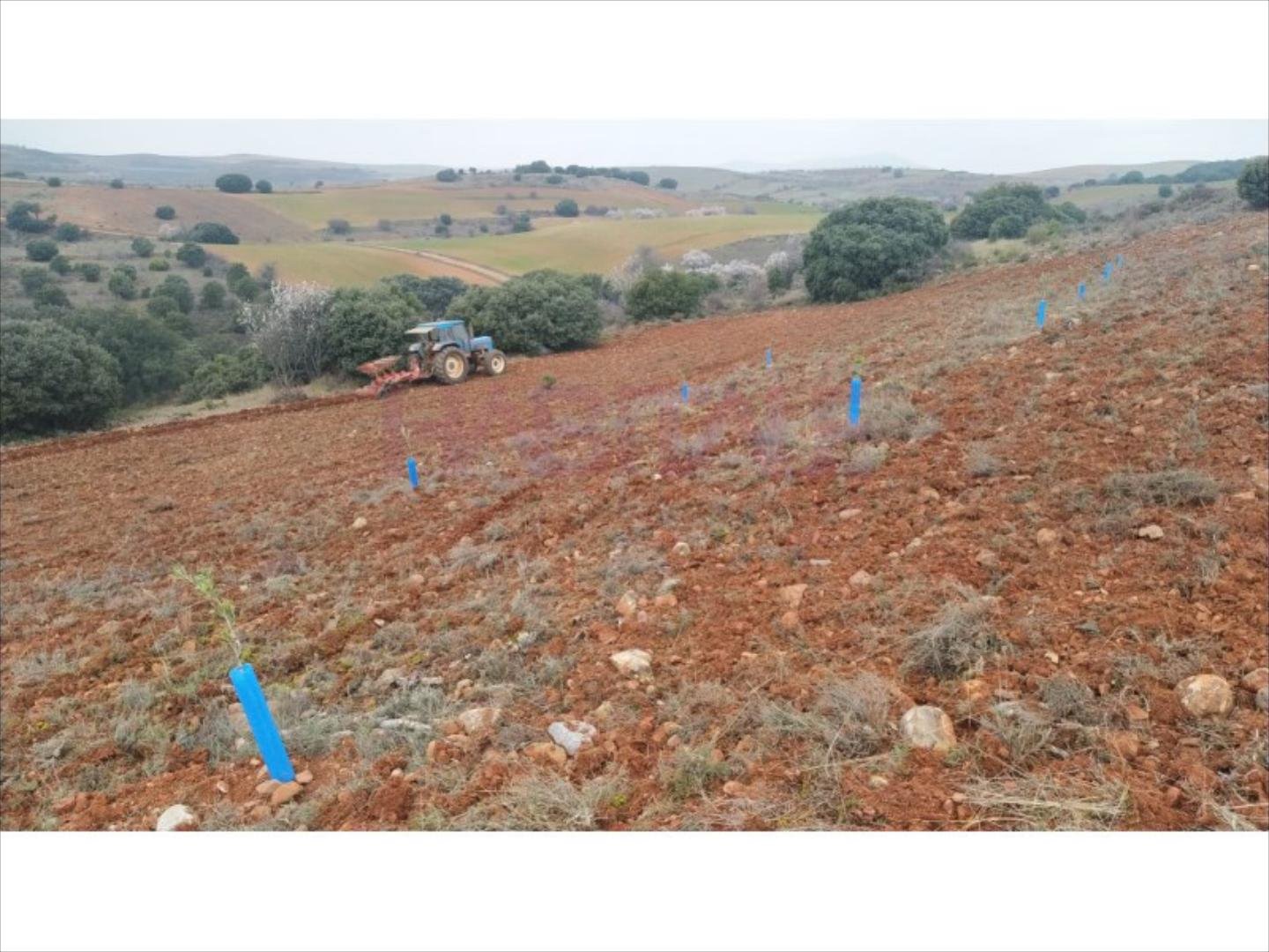 Pis de 3383 m² a Clarés de Ribota