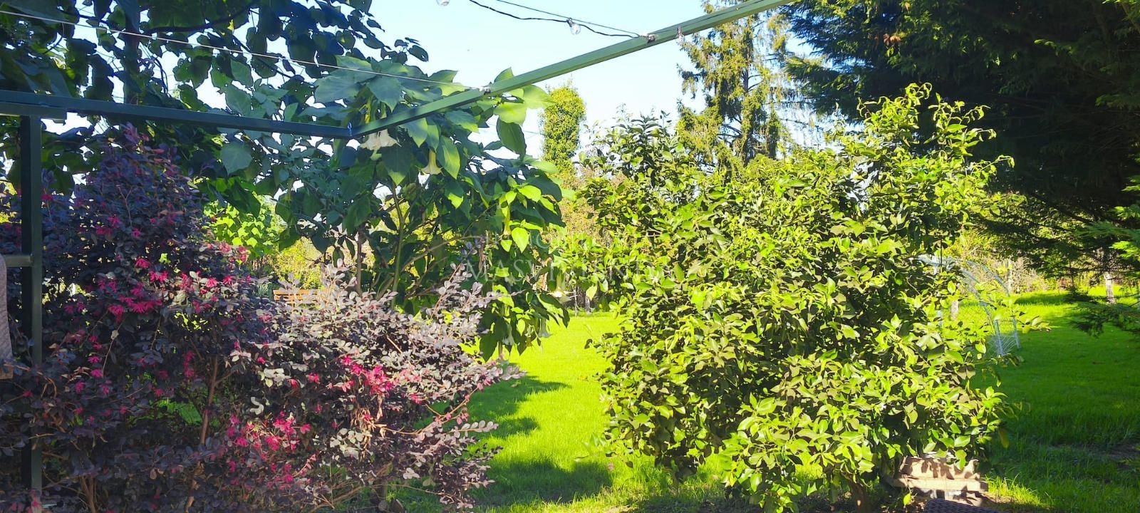 Haus 50 m² in Gondomar