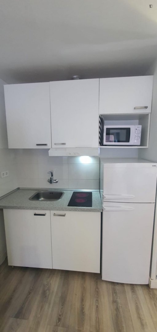 Appartamento 21 m² a Madrid