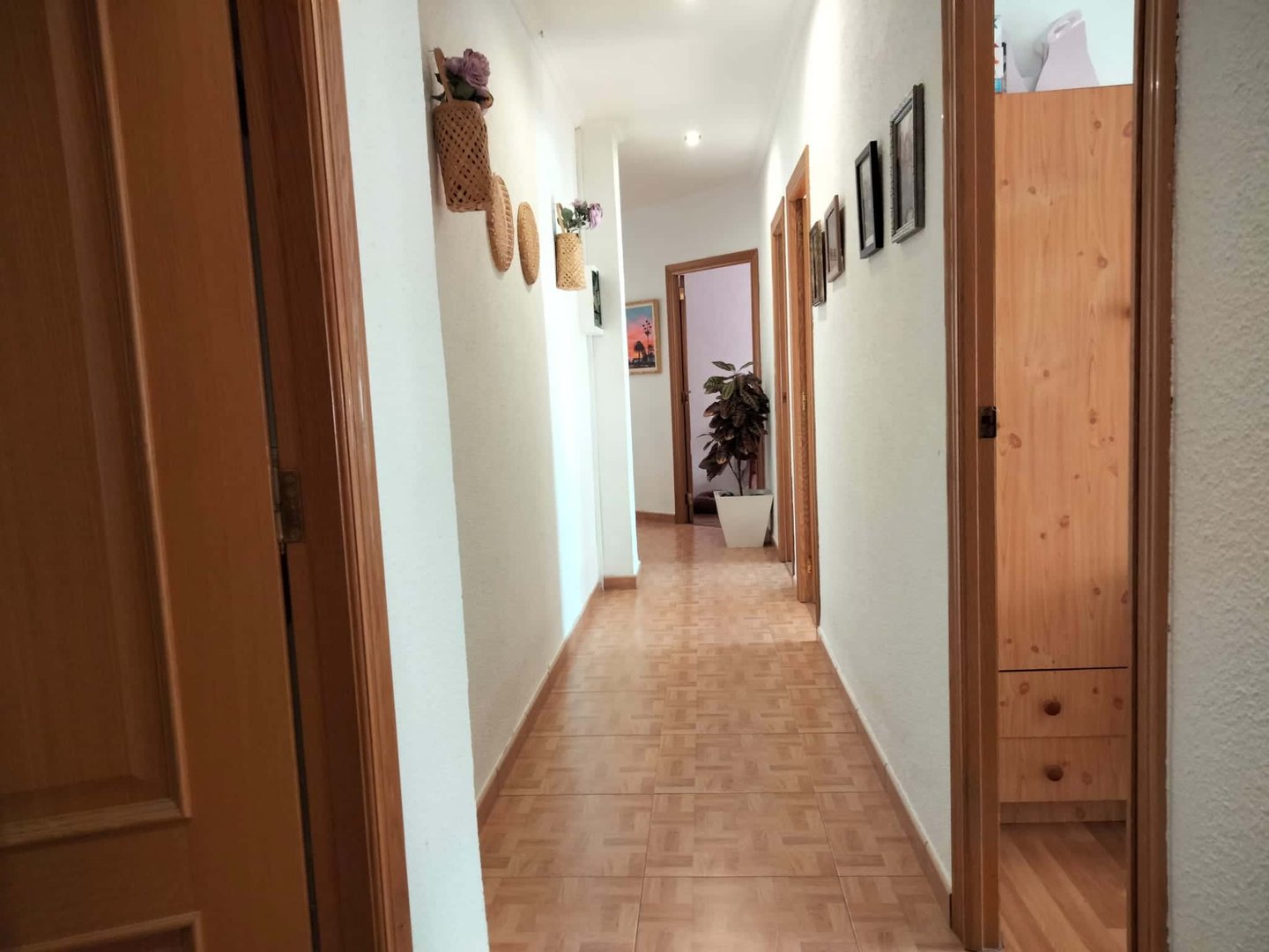 Habitació de lloguer, Castelló de la Plana
