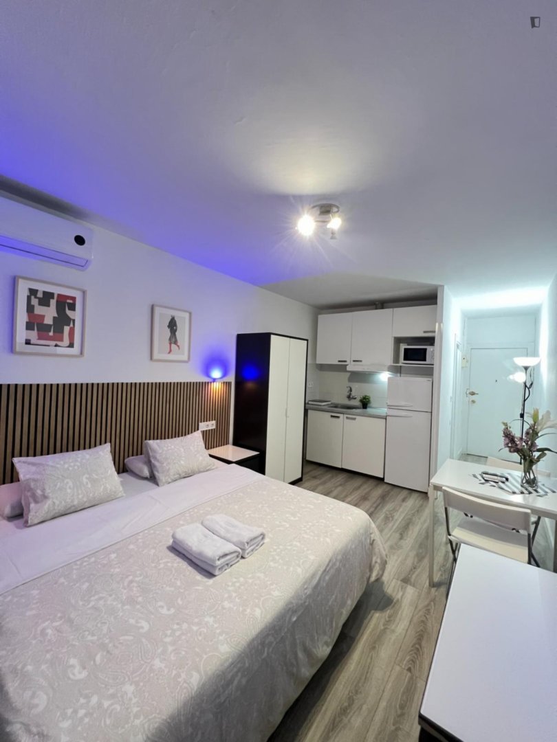 Appartamento 21 m² a Madrid