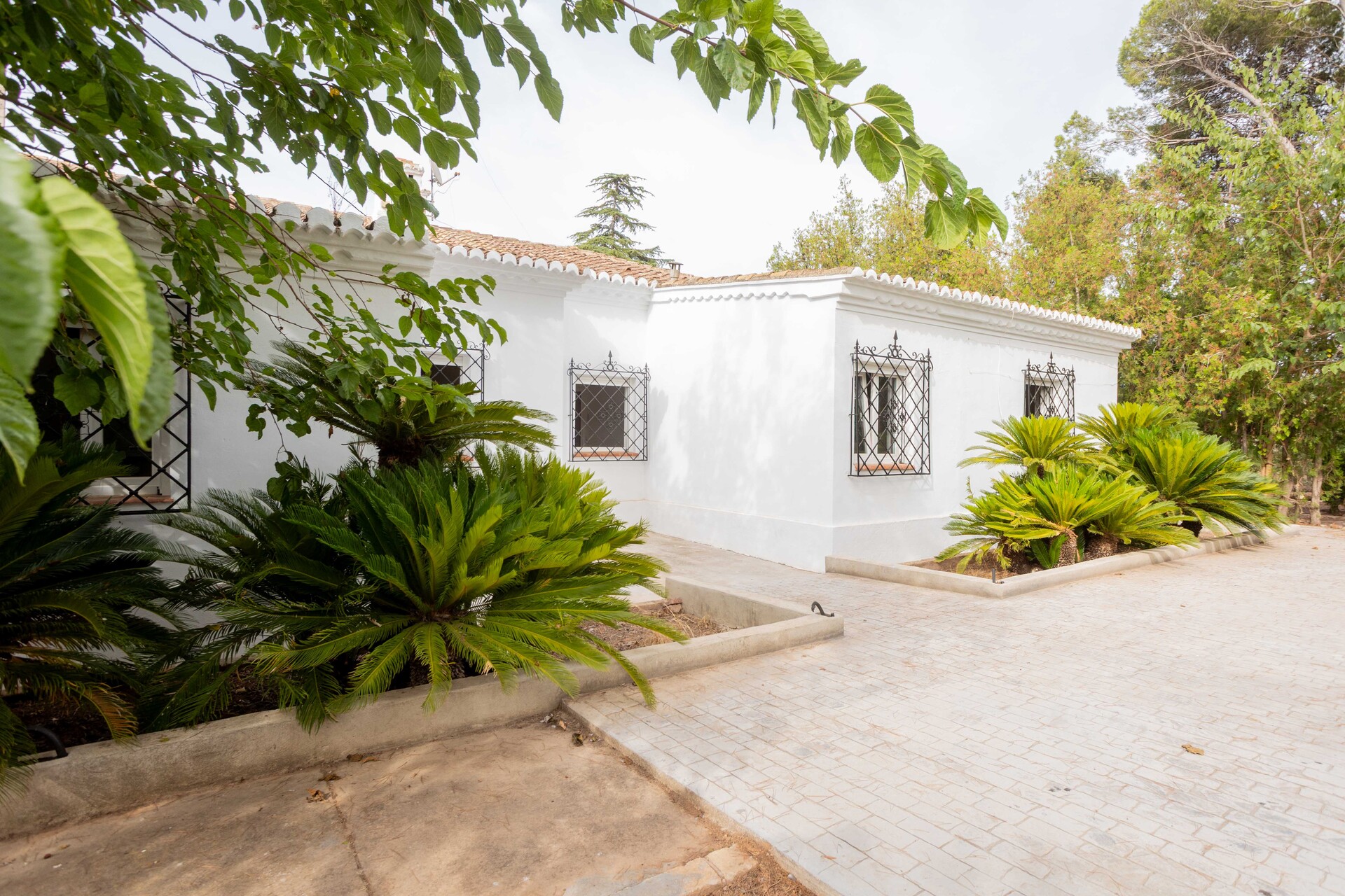 House 295 m² in Bétera