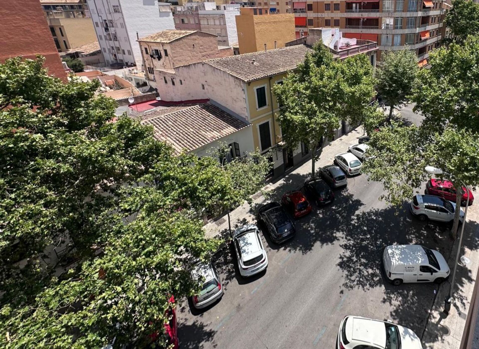 Stanza in affitto, Palma