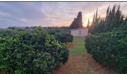 Appartamento 110 m² a Binissalem