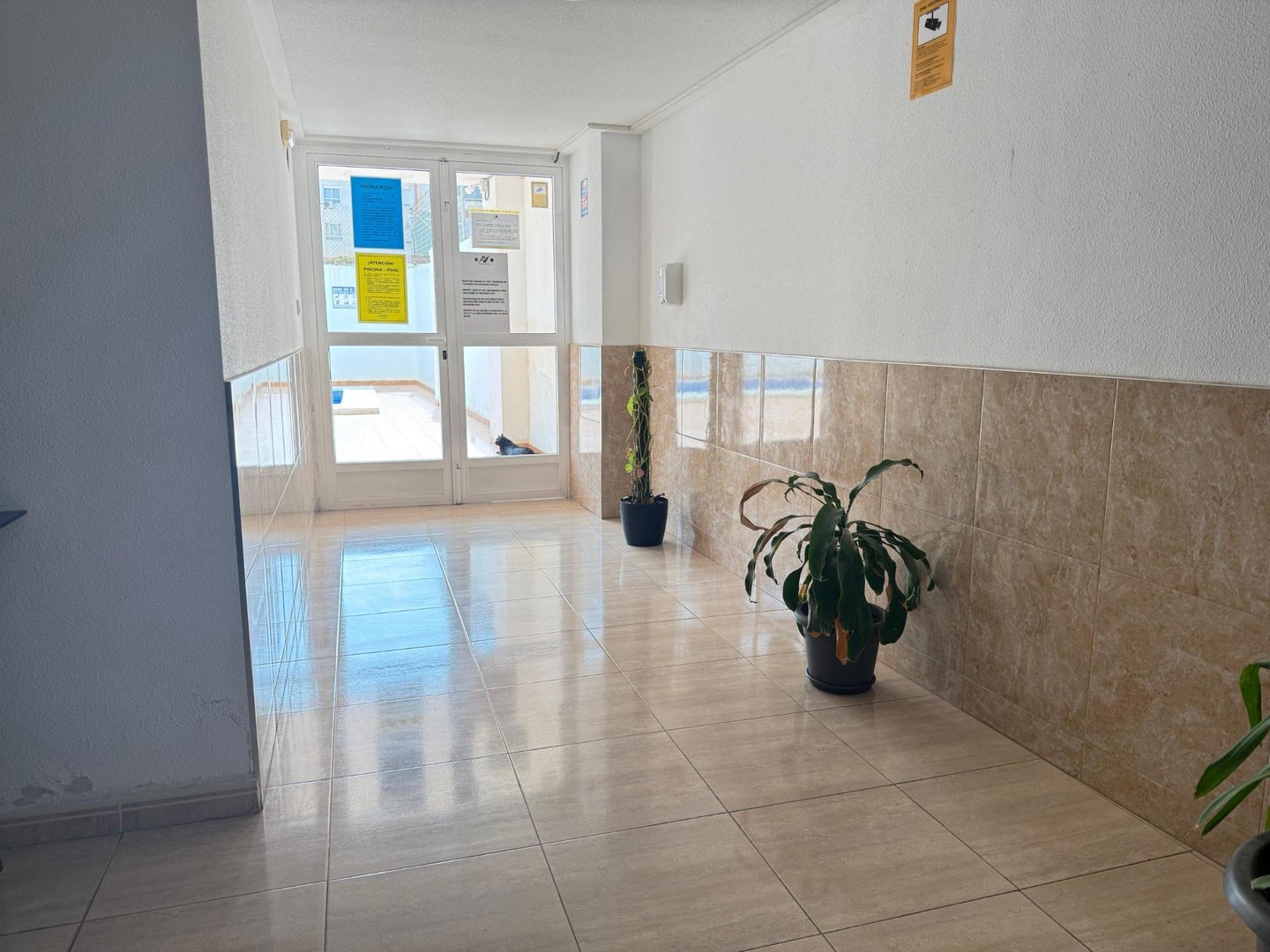 Piso de 50 m² en Torrevieja