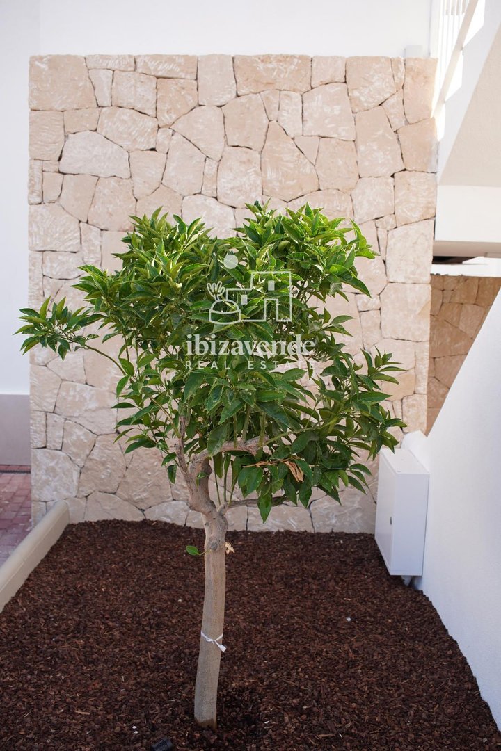 Appartement 110 m² à Sant Antoni de Portmany