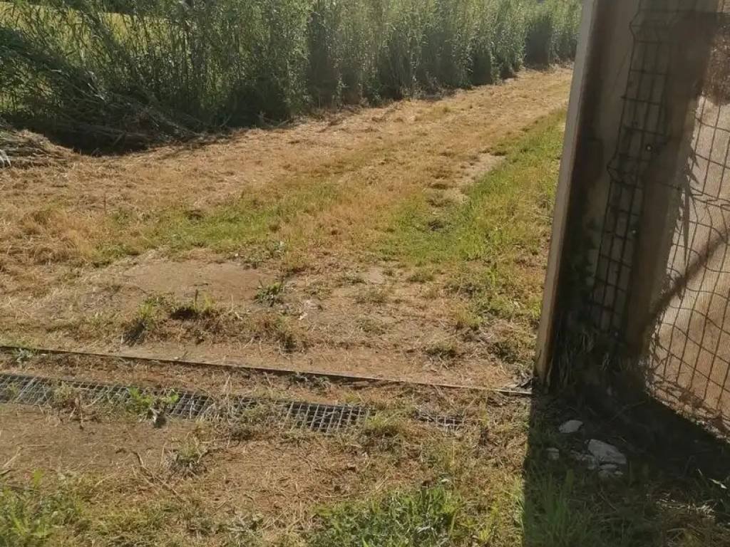 House 343 m² in Serinyà