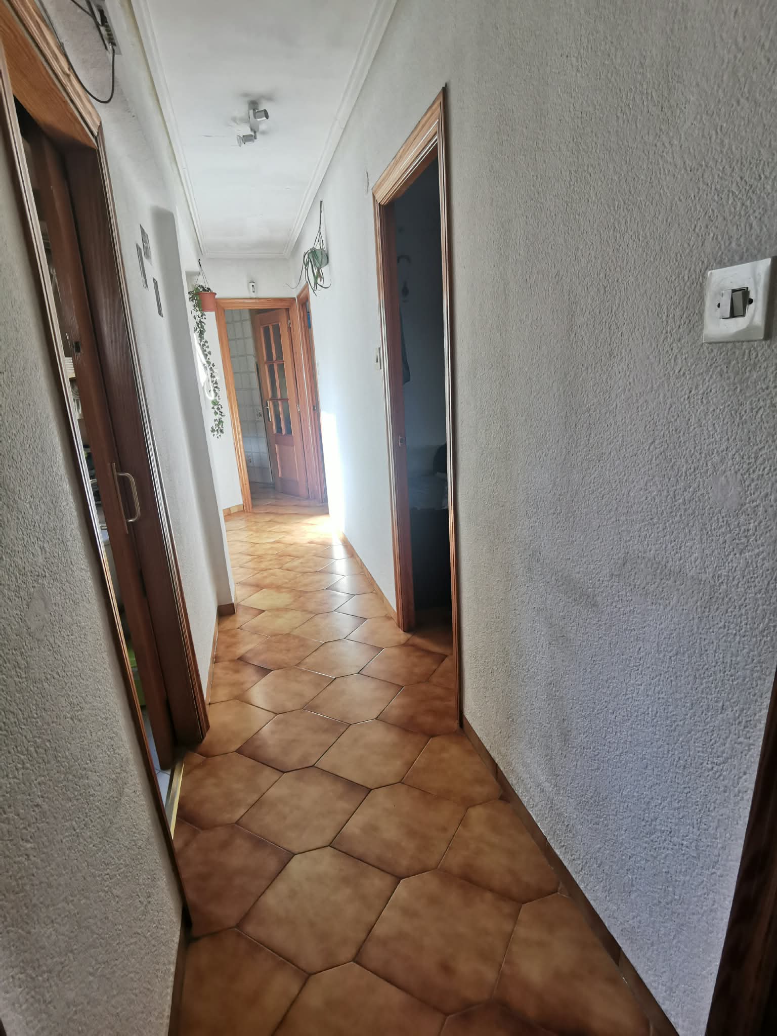 Stanza in affitto, Valencia