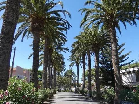 Appartamento 40 m² a San Cristóbal de La Laguna