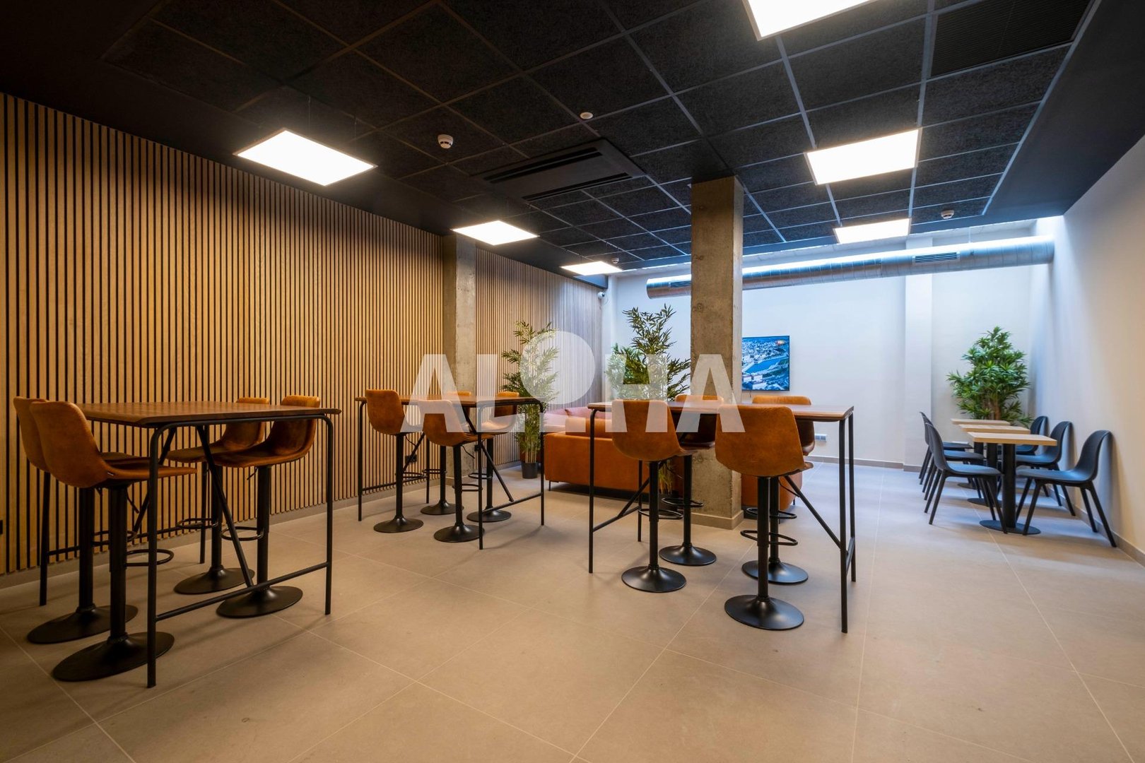 Habitación 17 m², Moncada