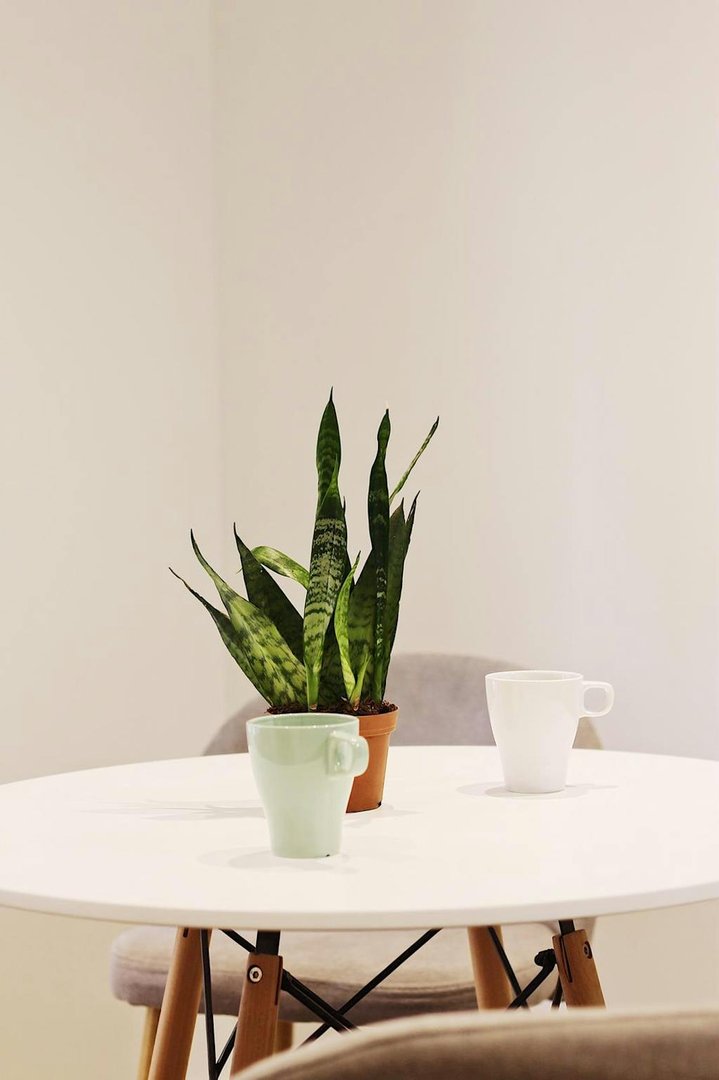 Habitación 60 m², Barcelona