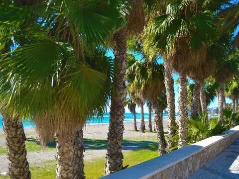 Appartamento 85 m² a Almuñécar