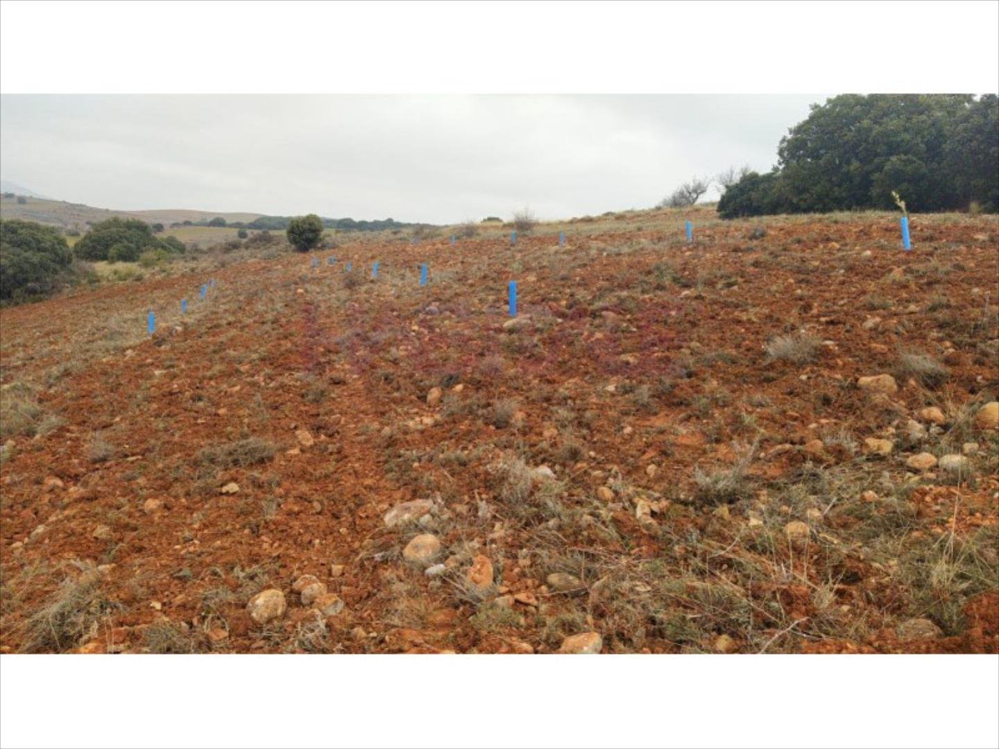 Pis de 3383 m² a Clarés de Ribota