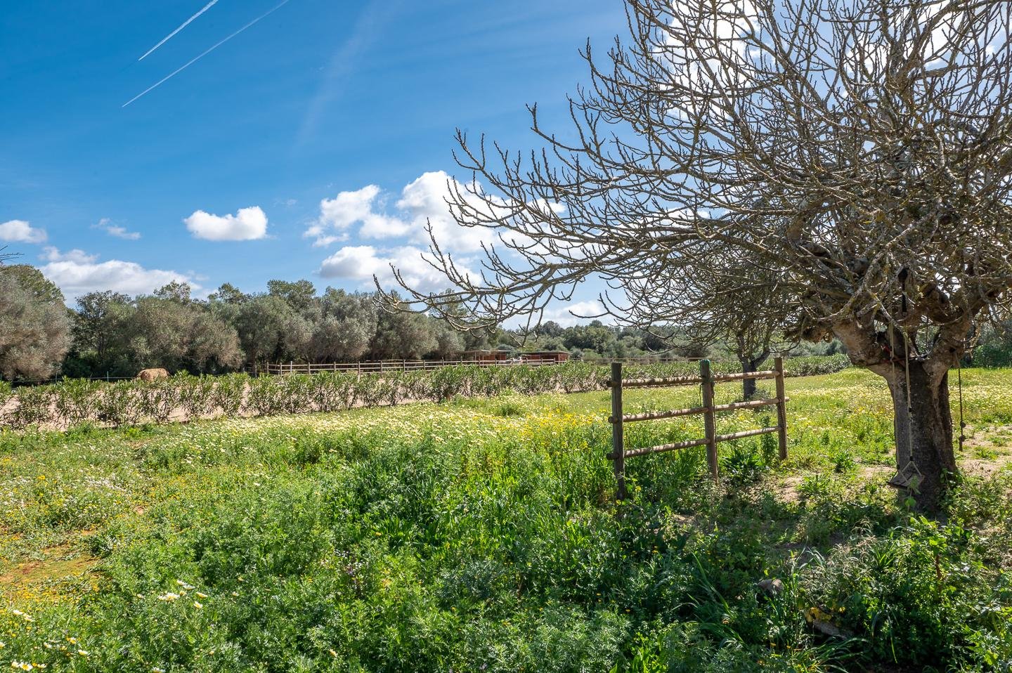 Piso de 507 m² en Campos