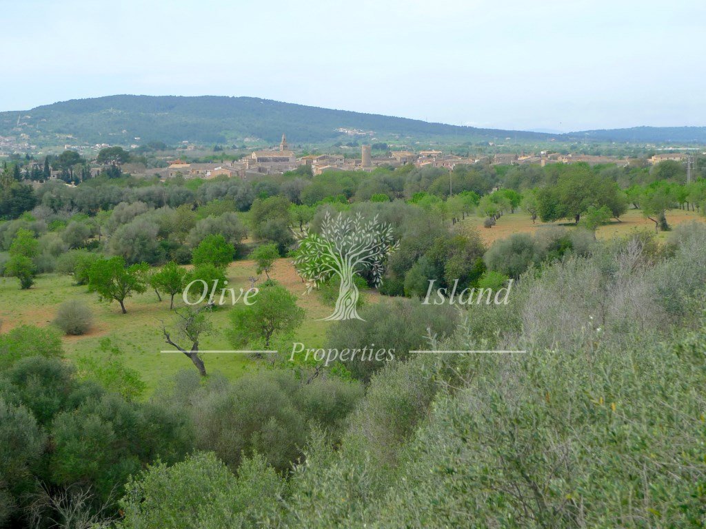 Apartamento 334 m² em Sencelles