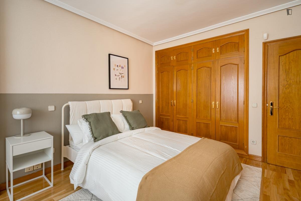 Stanza in affitto, Madrid