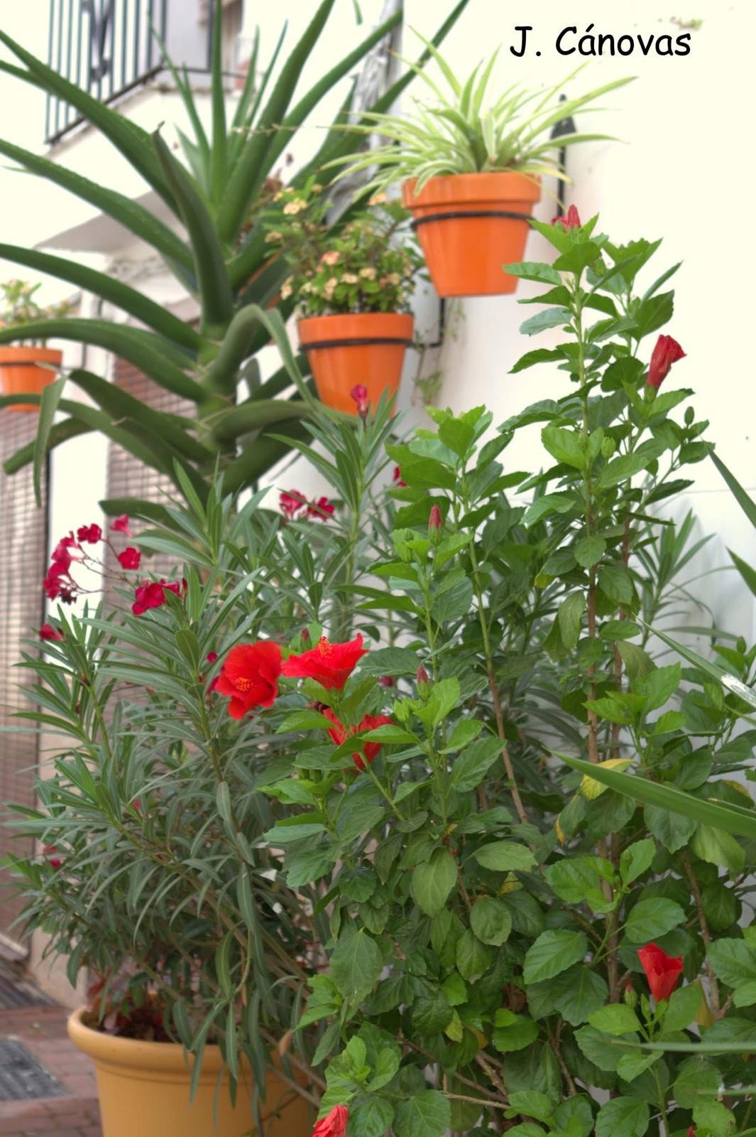 Piso de 150 m² en Estepona