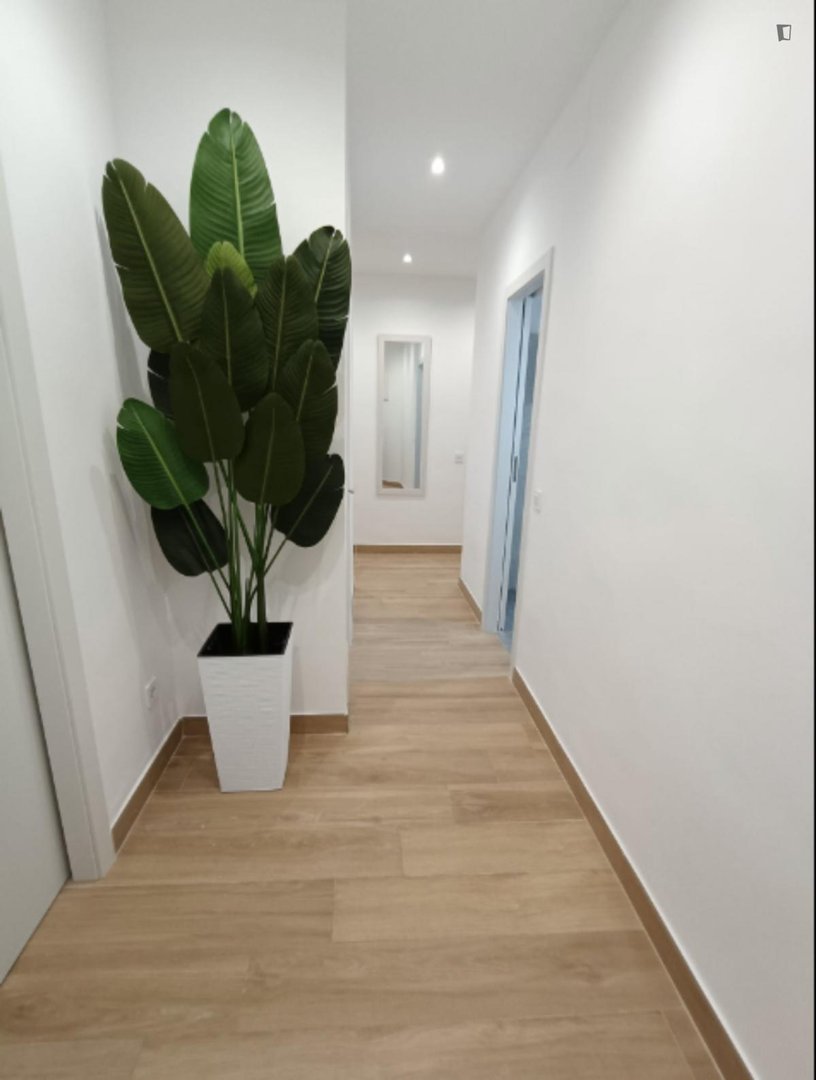 Stanza in affitto, Barcelona