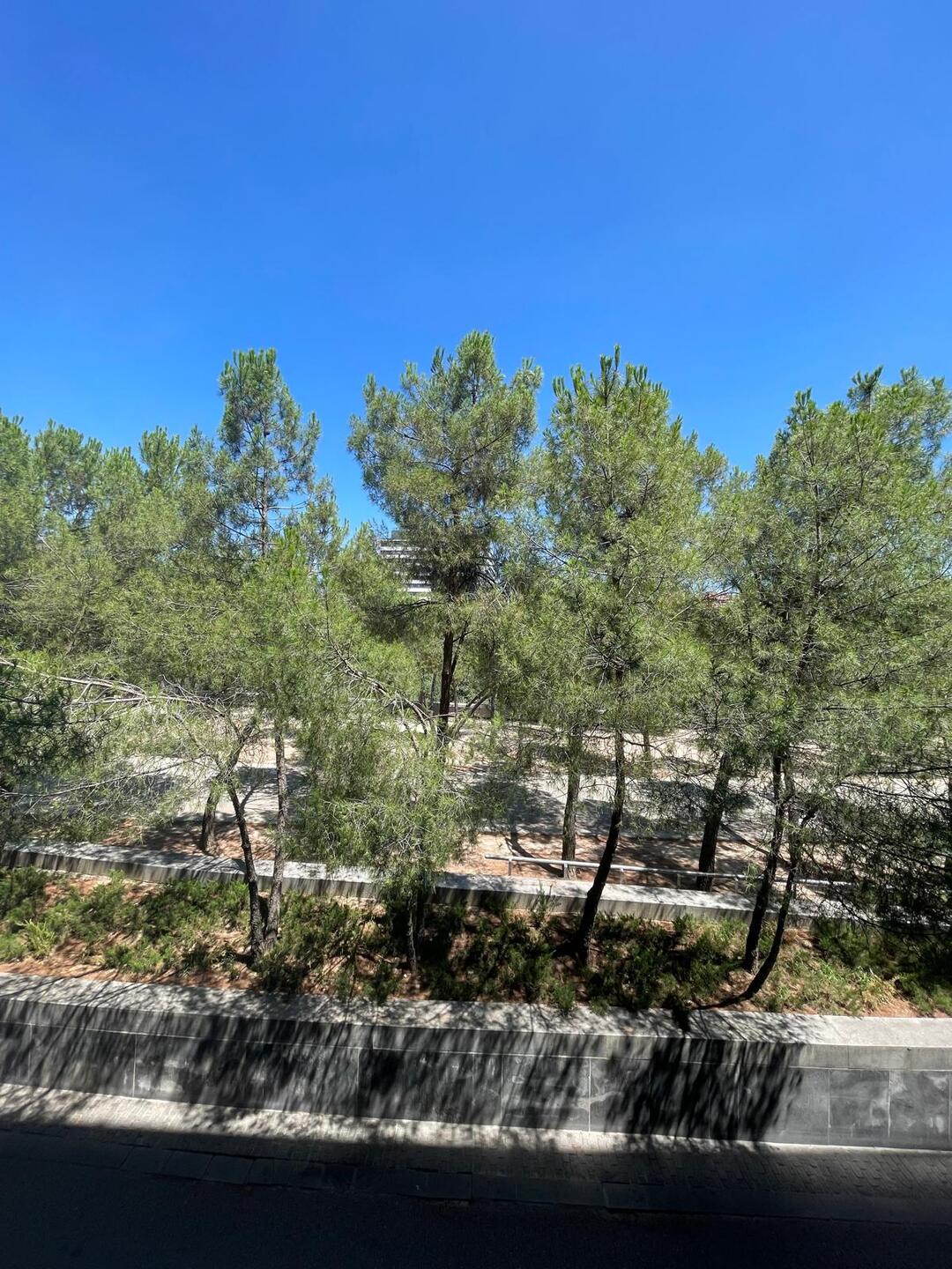 Appartamento 80 m² a Madrid