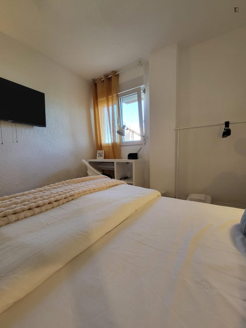 Habitació de lloguer, Alacant