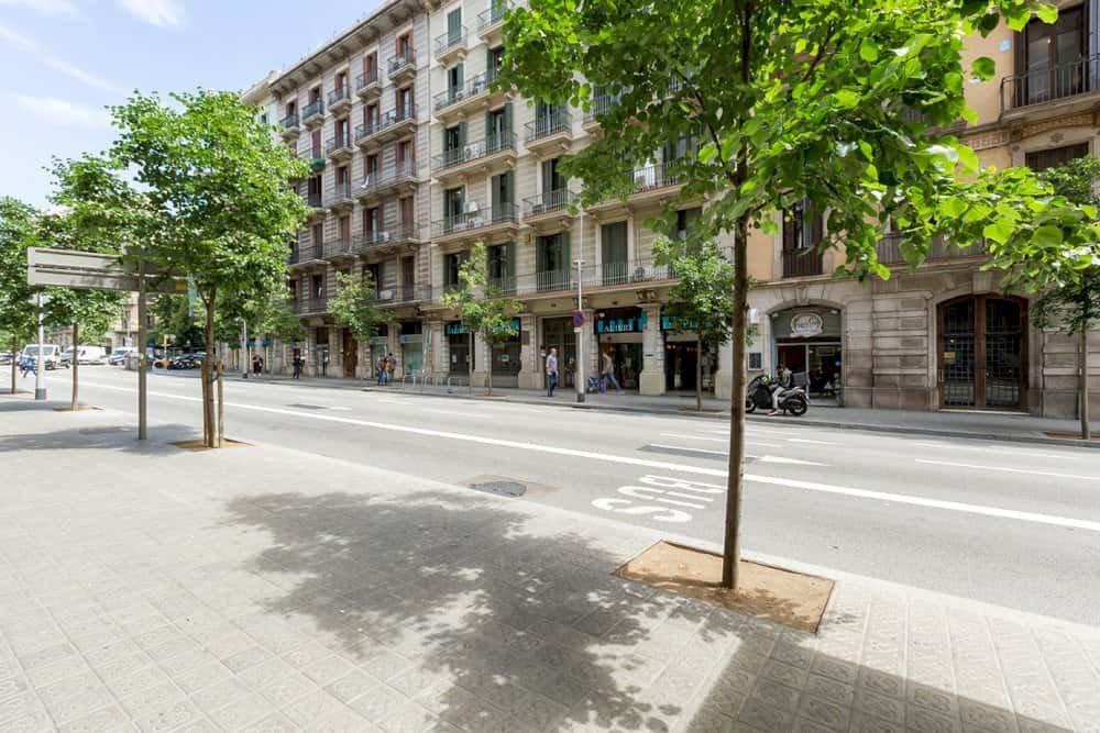 Stanza in affitto, Barcelona