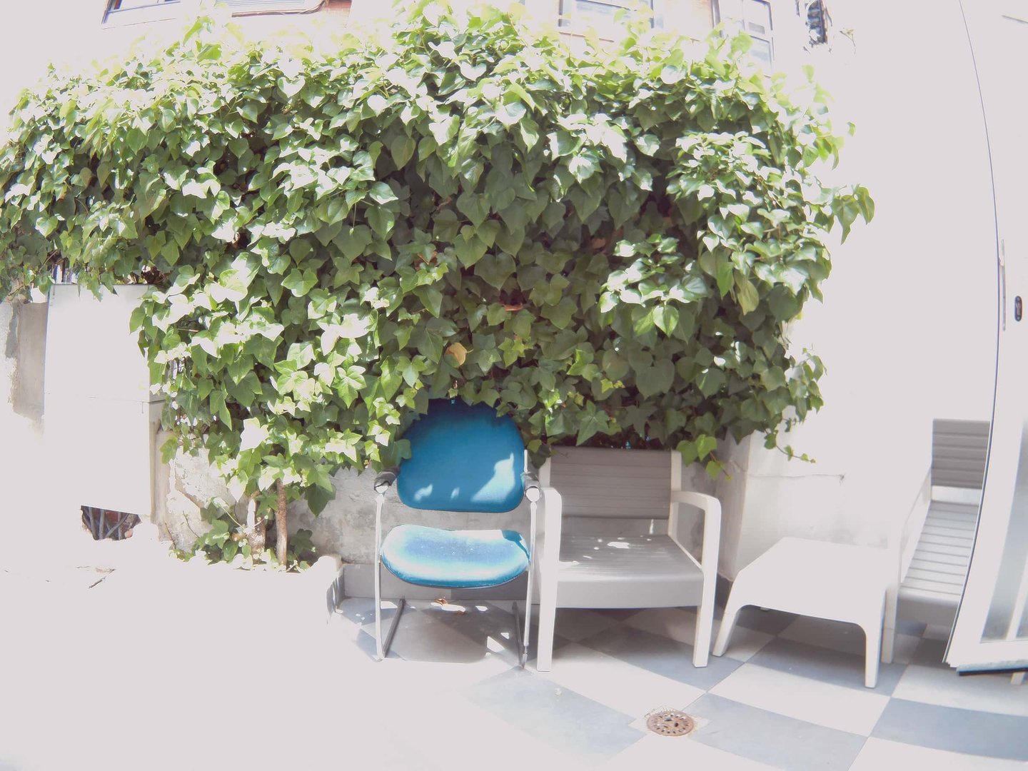 Stanza in affitto, Madrid