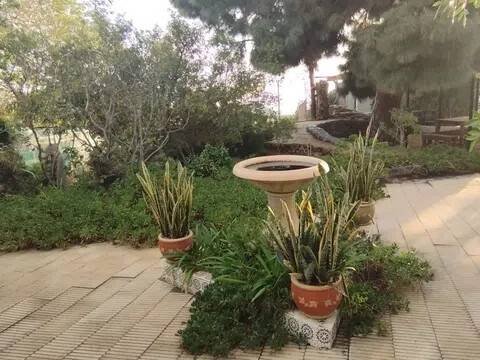 Casa de 45 m² en Los Llanos de Aridane
