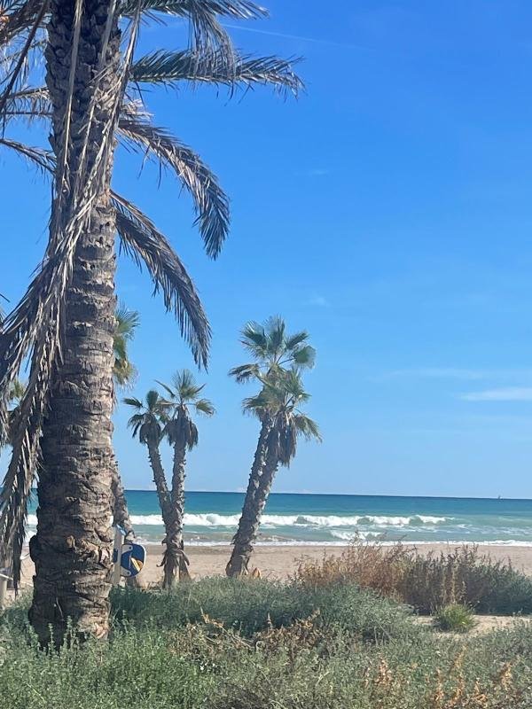 Pis de 43 m² a Canet d'en Berenguer
