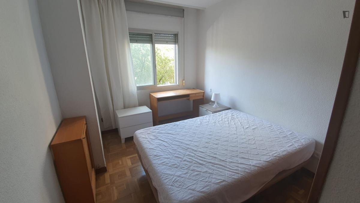 Stanza in affitto, Madrid