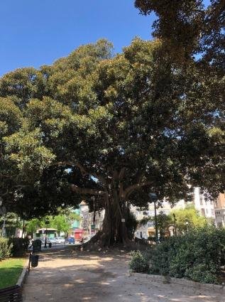 Pis de 68 m² a València