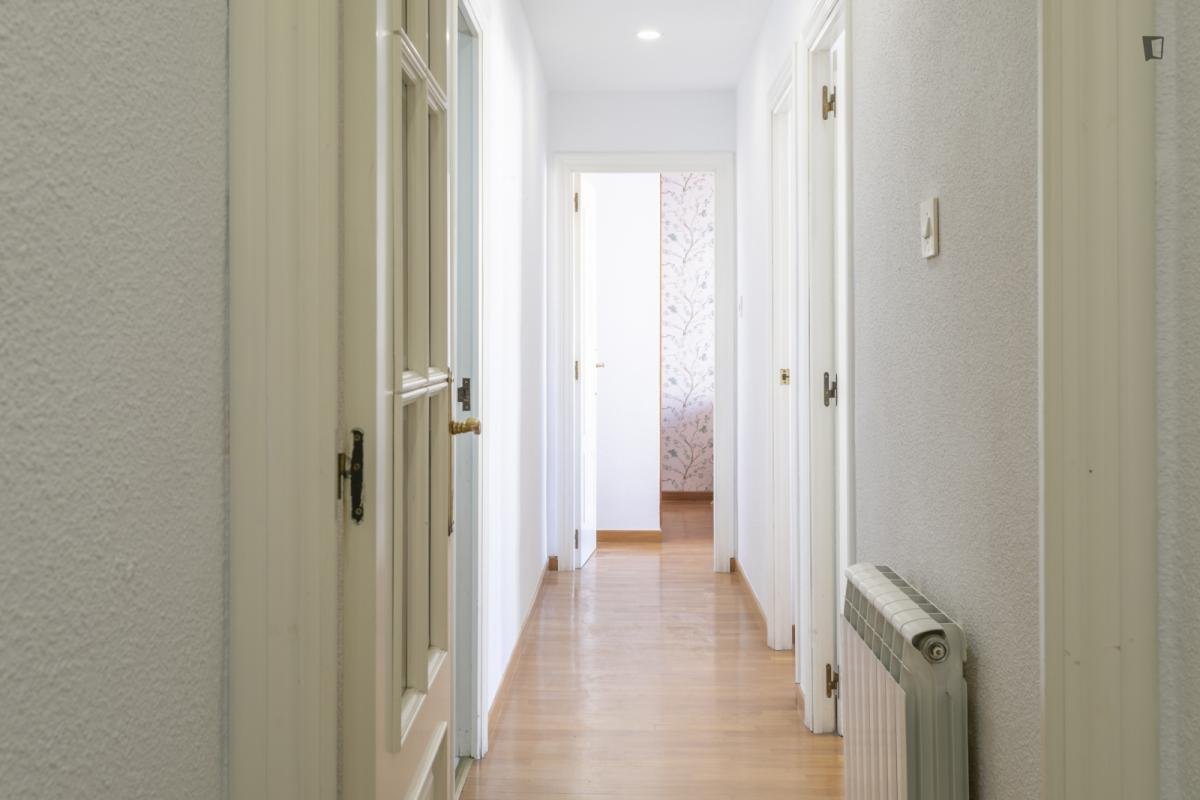 Habitació de lloguer, Alacant