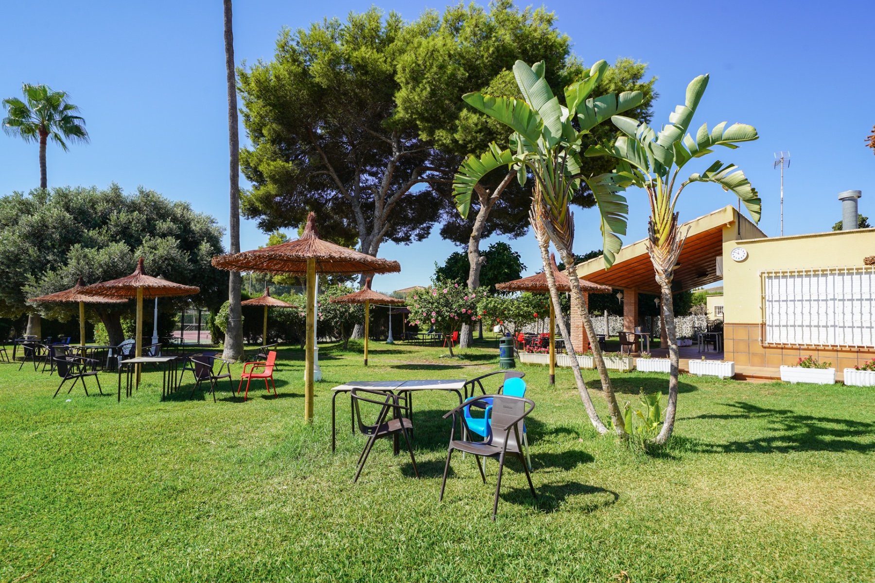 Wohnung 35 m² in Dolores