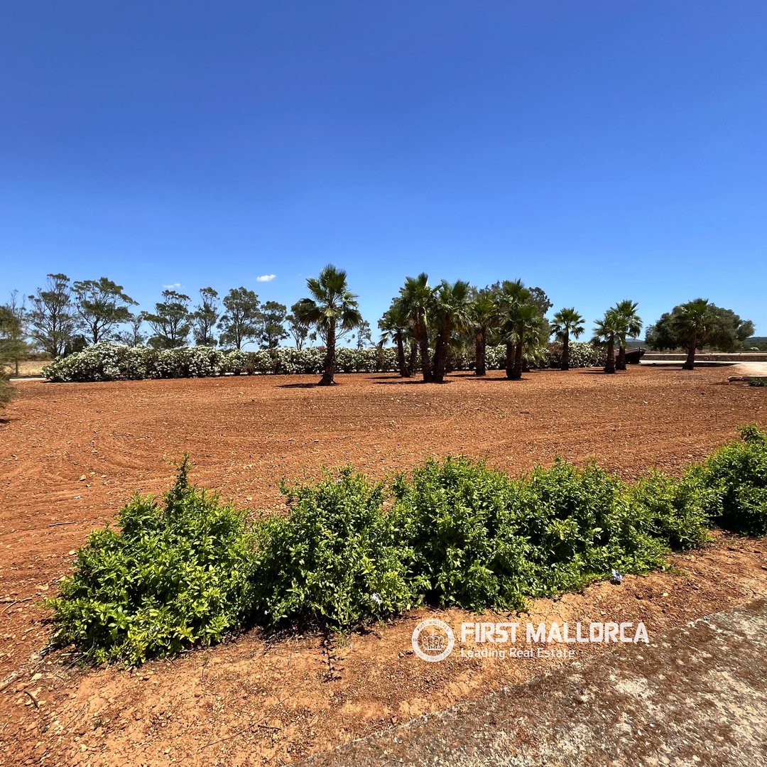 Piso de 78 m² en Campos