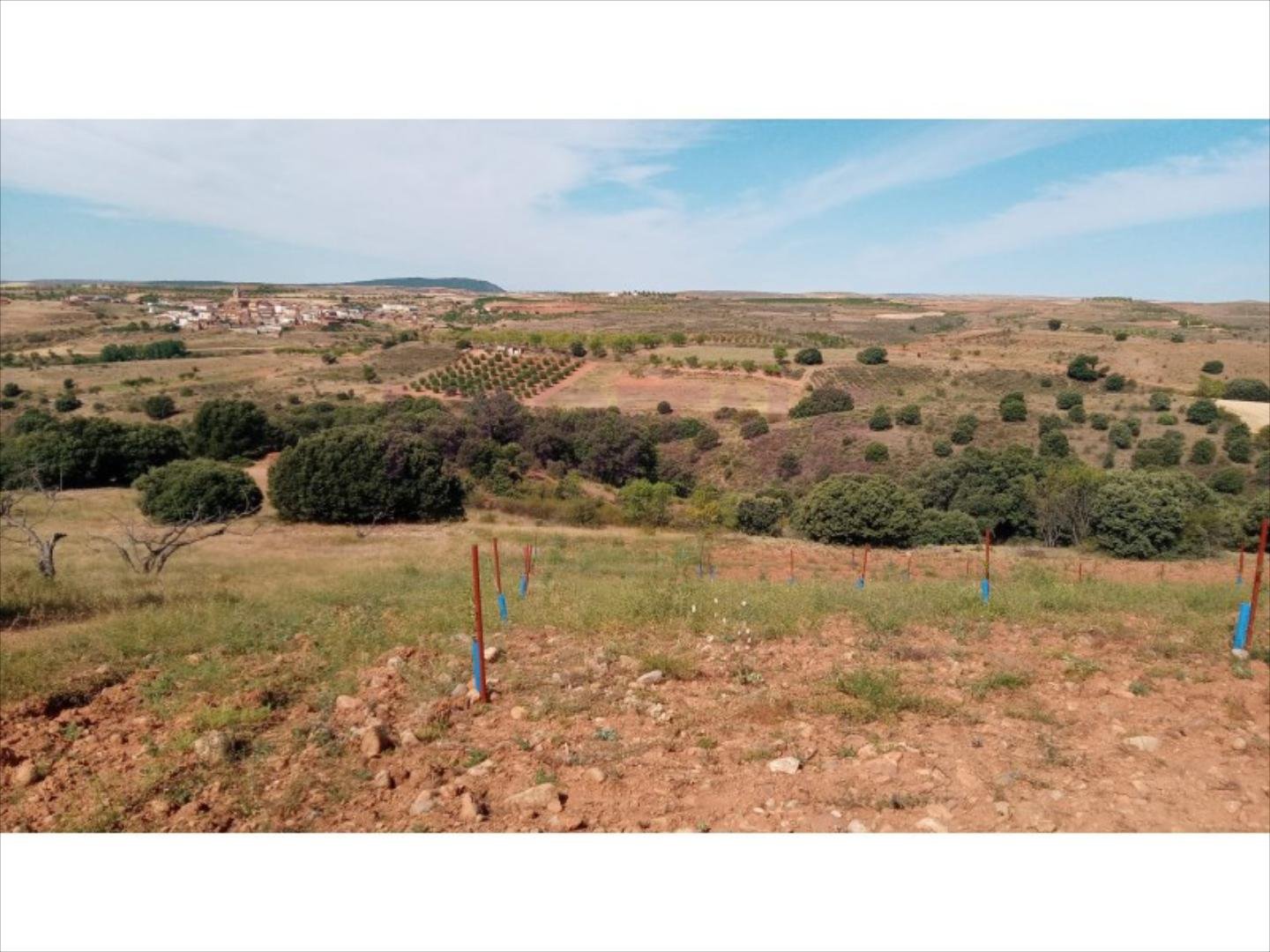 Pis de 3383 m² a Clarés de Ribota