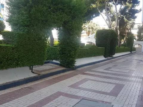 Stanza in affitto, Málaga