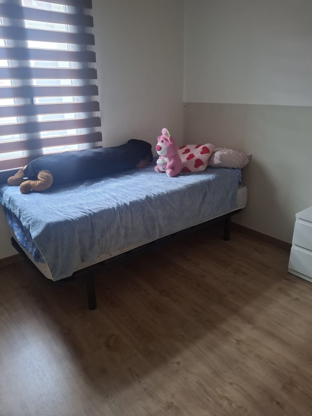 Piso de 100 m² en Olot