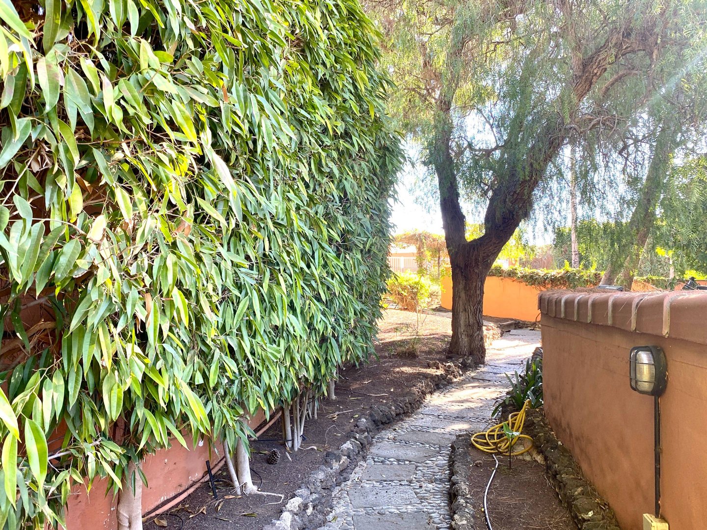 Casa de 345 m² en Las Palmas de Gran Canaria