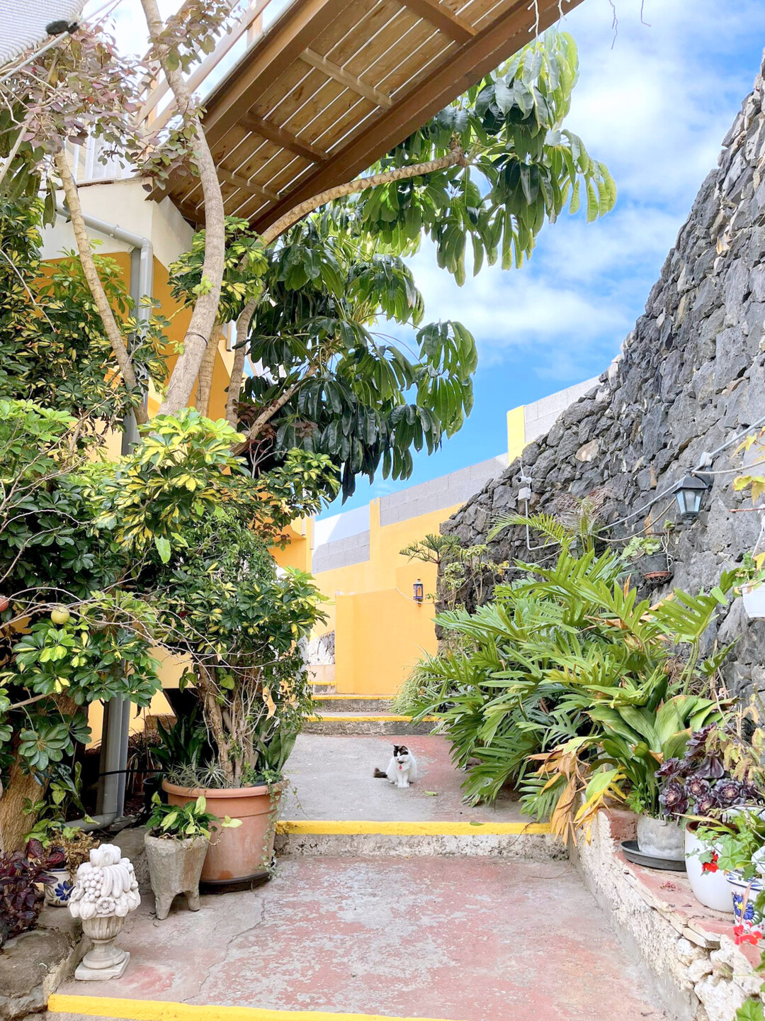 Piso de 100 m² en Puerto de la Cruz