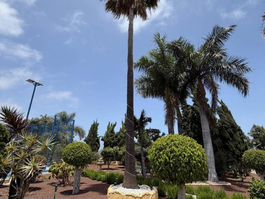 Casa de 145 m² en La Orotava