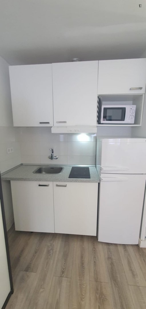 Appartamento 21 m² a Madrid