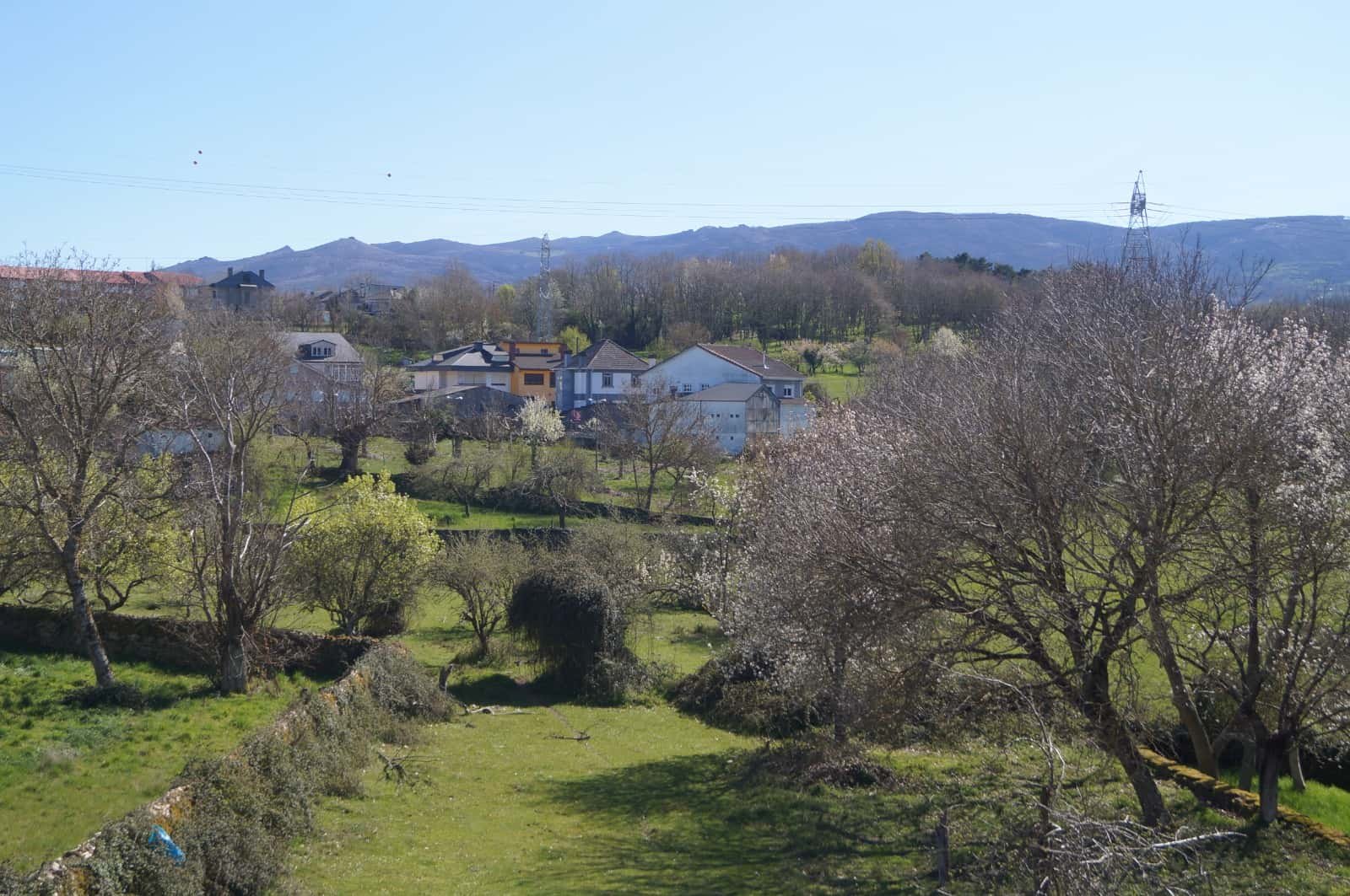 Habitació de lloguer, A Pobra de Trives