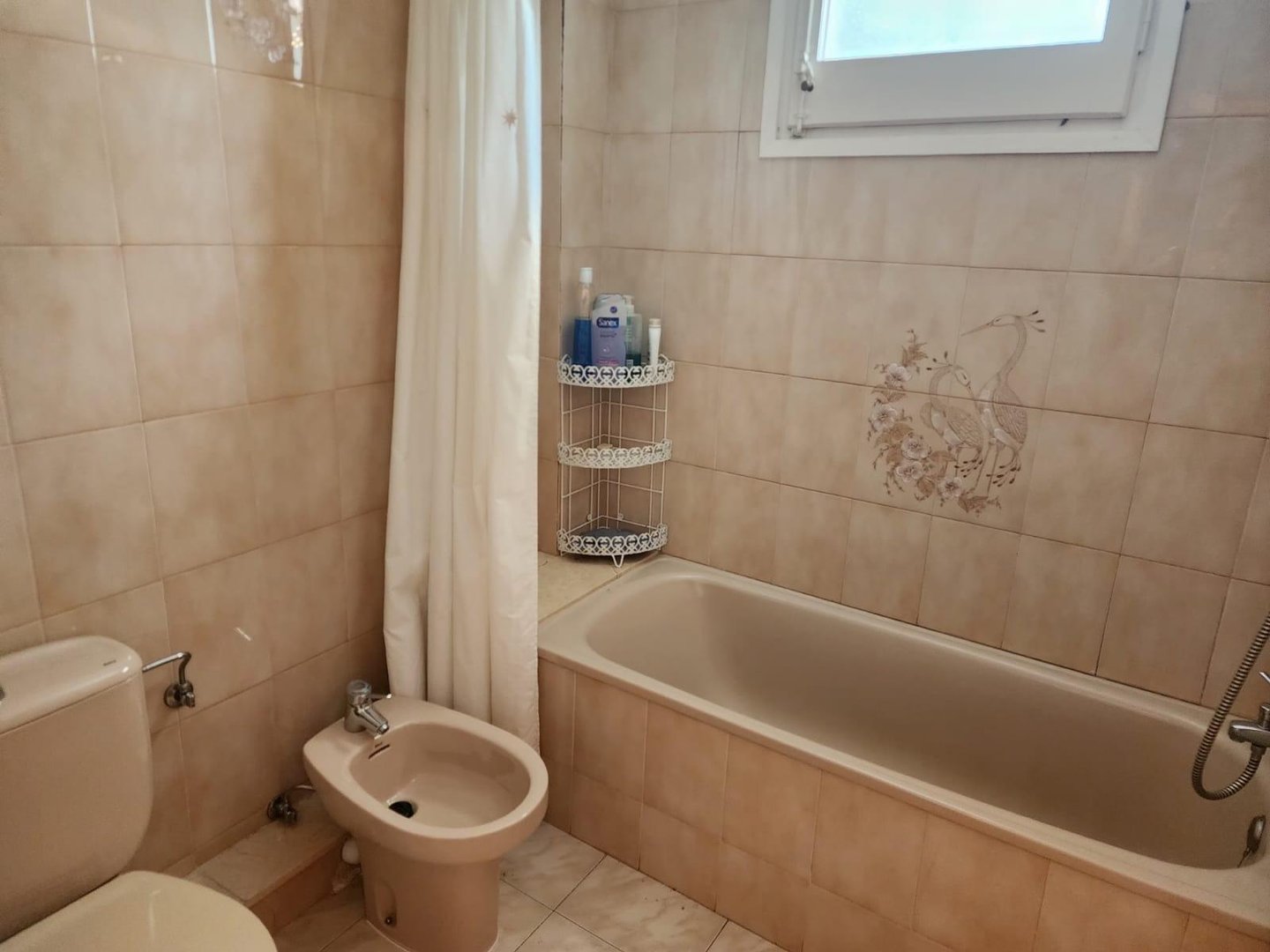 Wohnung 142 m² in Jaca