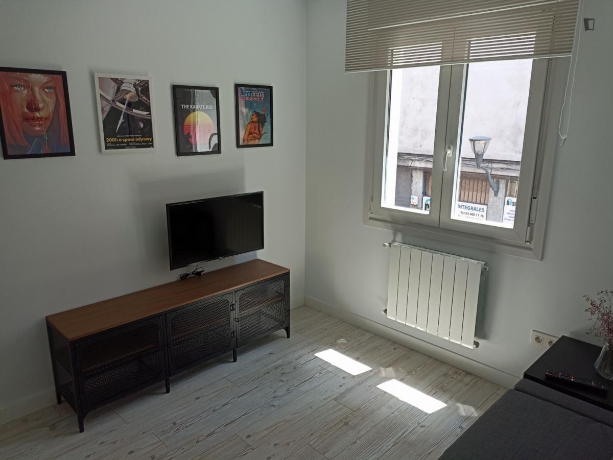 Habitació de lloguer, Bilbao