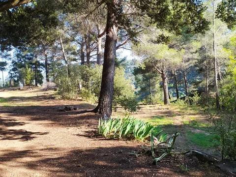 Piso de 480 m² en l'Albiol