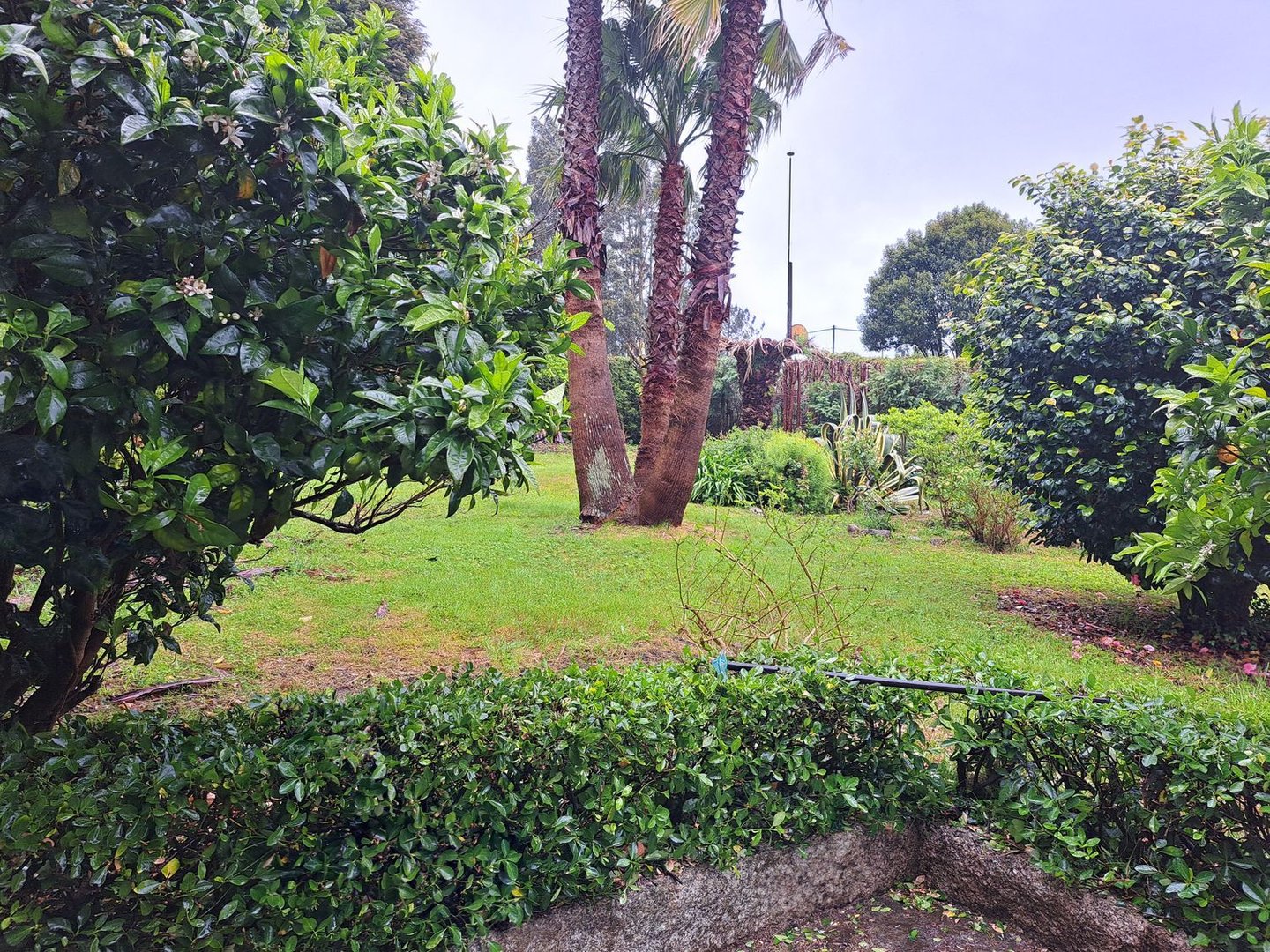 Casa de 494 m² a Teo