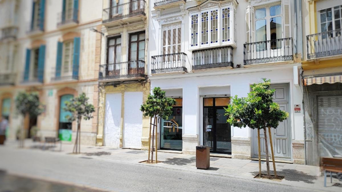 Pis de lloguer, Màlaga
