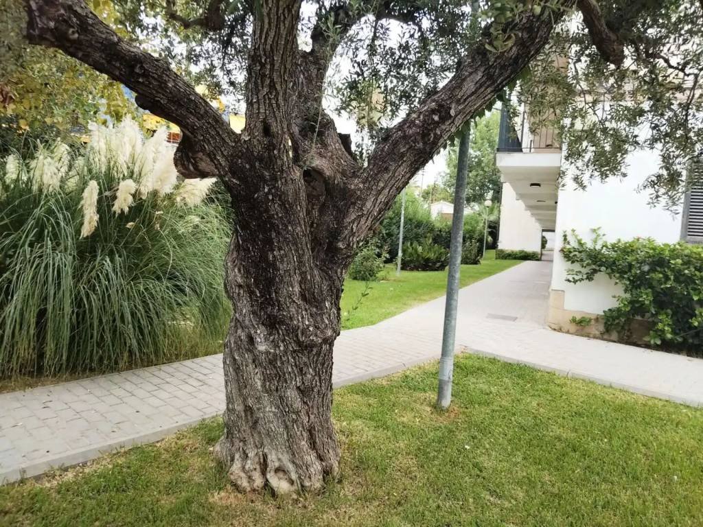 Piso de 62 m² en Cambrils