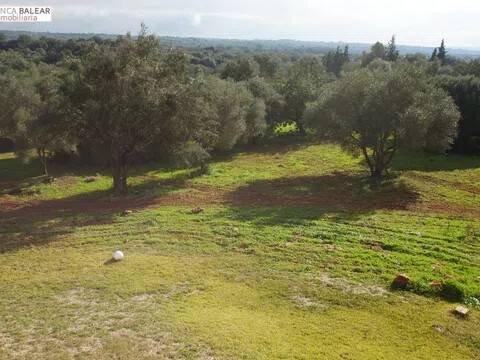 Pis de 300 m² a Costitx